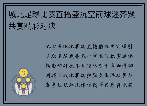 城北足球比赛直播盛况空前球迷齐聚共赏精彩对决